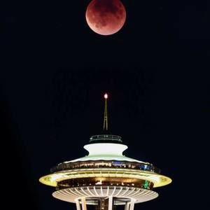 Meet your Posher, Chuck